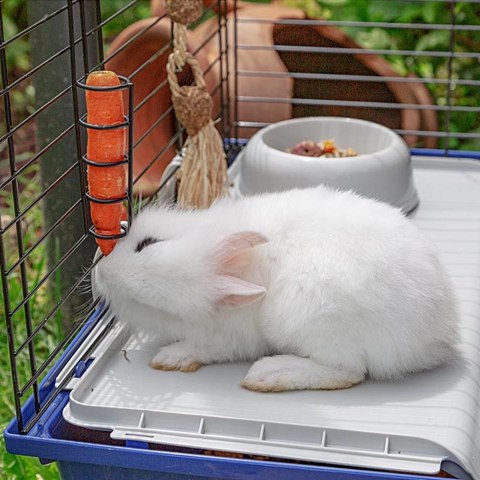 FERPLAST FERPLAST Rabbit 120 - klatka dla królika (WYPRZEDAŻ) FERPLAST FERPLAST Rabbit 120 - klatka dla królika (WYPRZEDAŻ)