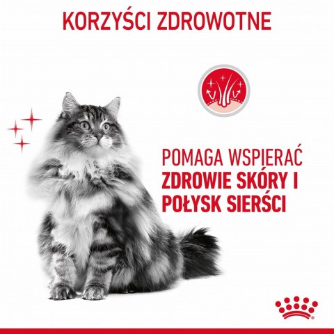 Royal Canin Karma Royal Canin Intense Beauty w sosie 12x85G