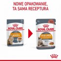Royal Canin Karma Royal Canin Intense Beauty w sosie 12x85G