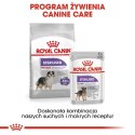 Royal Canin ROYAL CANIN CCN Medium Sterilised Adult - sucha karma dla psa - 12 kg (WYPRZEDAŻ)
