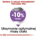 Royal Canin ROYAL CANIN CCN Medium Sterilised Adult - sucha karma dla psa - 12 kg (WYPRZEDAŻ)