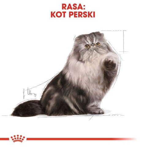 Royal Canin ROYAL CANIN Persian Adult - karma dla kota rasy pers - 2kg