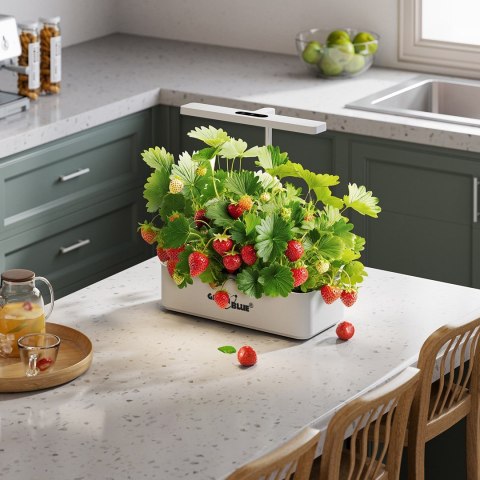 GreenBlue GREENBLUE INTELIGENTNY SYSTEM WEWNĘTRZNEJ UPRAWY ROŚLIN, DONICZKA SMART, POJEMNOŚĆ 4L, NA 12 ROŚLIN, DIODY LED FULL SPECTRUM