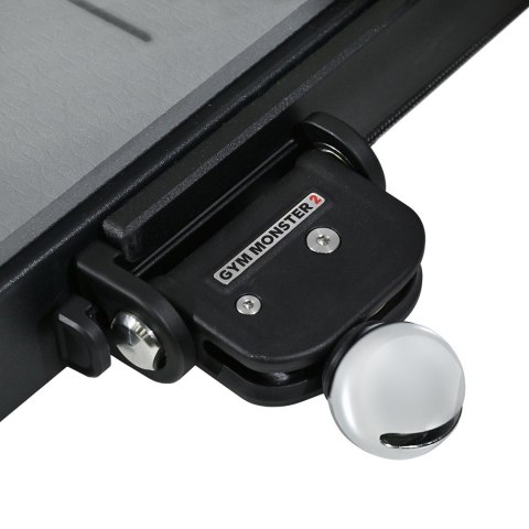 SPEEDIANCE Speediance Gym Monster 2.0 Family Plus 21inchscreen