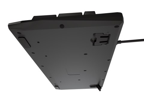 GENESIS GENESIS KLAWIATURA GAMINGOWA RHOD 300 RGB US NKG-1528