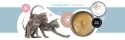 3coty 3Coty TURKEY + CHICKEN for Kittens 180g 3coty 3Coty TURKEY + CHICKEN for Kittens 180g