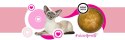 3coty 3Coty TURKEY Cheers! Complementary feed cats 160g 3coty 3Coty TURKEY Cheers! Complementary feed cats 160g