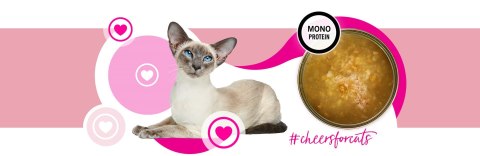 3coty 3Coty TURKEY Cheers! Complementary feed cats 160g 3coty 3Coty TURKEY Cheers! Complementary feed cats 160g