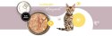 3coty 3Coty TURKEY + GOOSE for Kittens 180g