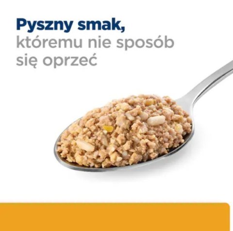 Hill's HILL'S PD Canine Urinary Care C/D 370g dla psa