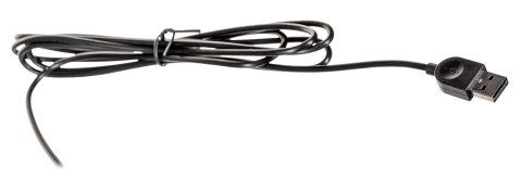 Lenovo Lenovo Essential klawiatura Uniwersalna USB QWERTY US English Czarny 4Y41C68681 Lenovo Lenovo Essential klawiatura Uniwersalna USB QWERTY US English Czarny 4Y41C68681