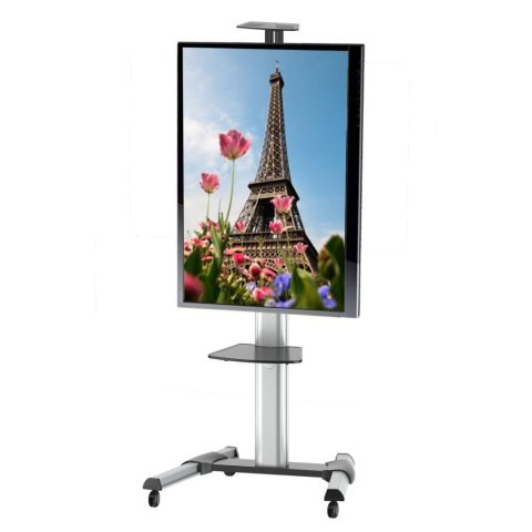 TECHly TECHLY MOBILNY STOJAK TV LED/LCD 37-70 CALI 50KG Z