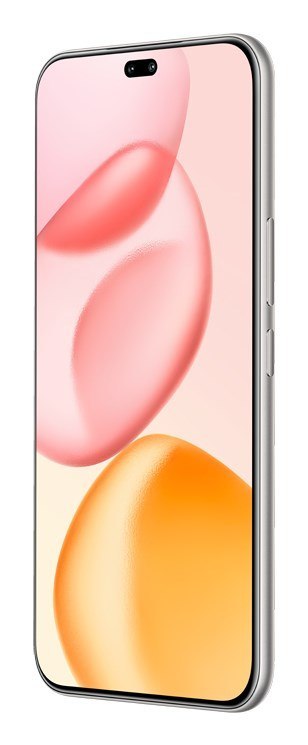 Honor Honor 400 Pro 12/512GB Szary