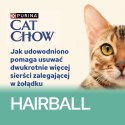PURINA NESTLE PURINA CAT CHOW Kurczak&Fasola 20+6 saszet. 2,21kg