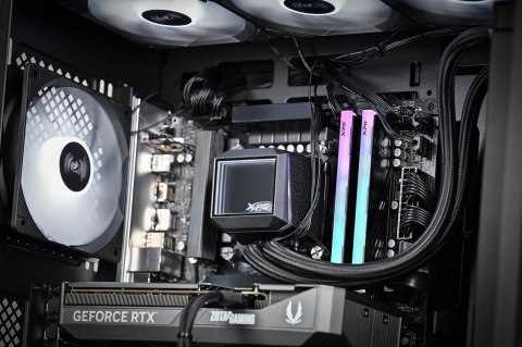 Actina Actina SELECTION 245K/32GB/1TB/RTX5070/700W