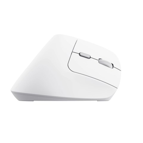 Trust Mysz Trust BAYO II ERGONOMIC WIRELESS White