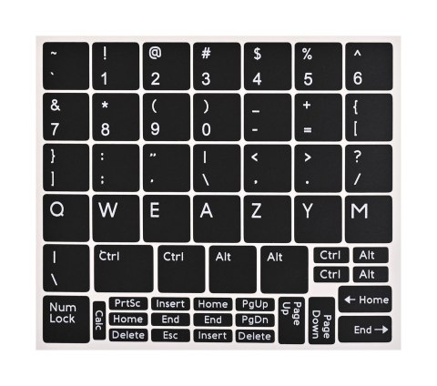 Dell DELL LATITUDE 5431 i5-1250P 16GB 512GB SSD 14" FHD Win11pro + zasilacz UŻYWANY