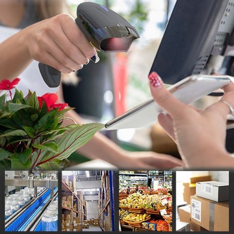 Qoltec QOLTEC CZYTNIK KODÓW KRESKOWYCH BEZPRZEWODOWY 1D | 2D | 2.4GHZ