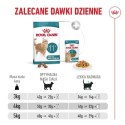 Royal Canin ROYAL CANIN FHN Cat Ageing 11+ 4kg