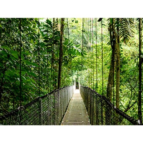 Hewlett-Packard HP EliteBook 6 G1a Ryzen AI 5 340 14.0"WUXGA IPS 300nits AG 16GB DDR5 5600 SSD512 5MP+IR Radeon 840M W11Pro Pike Silver aluminiu