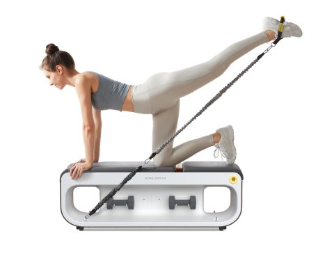 KING SMITH Multifunkcyjna ławka treningowa Kingsmith FBB1C