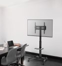 GEMBIRD GEMBIRD STOJAK POD TELEWIZOR Z REGULACJĄ WYSOKOŚCI, MOBILNY, NA KÓŁKACH 32" - 55"