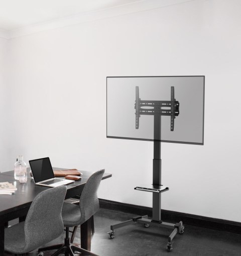 GEMBIRD GEMBIRD STOJAK POD TELEWIZOR Z REGULACJĄ WYSOKOŚCI, MOBILNY, NA KÓŁKACH 32" - 55"
