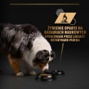 PURINA NESTLE PURINA PRO PLAN ADULT Dog Indyk w galarecie 400gr