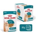 Royal Canin ROYAL CANIN FHN Cat Ageing 15+ Gravy 12x85g