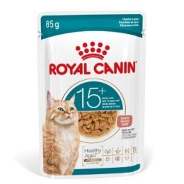 Royal Canin ROYAL CANIN FHN Cat Ageing 15+ Gravy 12x85g