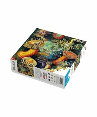 Cenega Publishing Puzzle Good Loot 1000 Imagination Ernst Haeckel Stworzenia Morskie