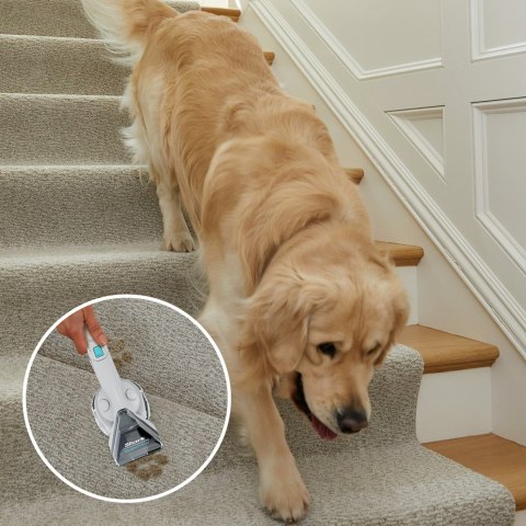 Shark Shark ODKURZACZ PX200EUT