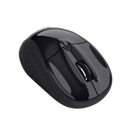 Trust Mysz TRUST BASICS WIRELESS MOUSE 24658