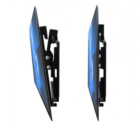 Esperanza ESPERANZA UCHWYT DO TV 14''-50'' CASTOR ERW010