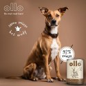 OLLO Ollo Pure Jeleń 850g
