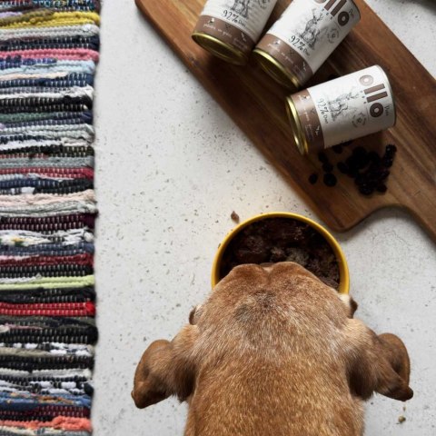 OLLO Ollo Pure Jeleń 850g