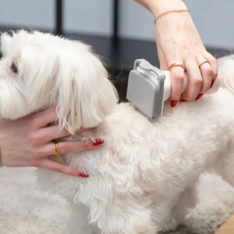 MPM Urządzenie do domowej pielęgnacji psów i kotów MPM MOD-1000