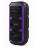 SQUEAK SQUEAK GŁOŚNIK KARAOKE BEATONE BLUETOOTH 5.3, 45W RADIO FM, MICROSD, AUX, USB, USB-C SQ1009
