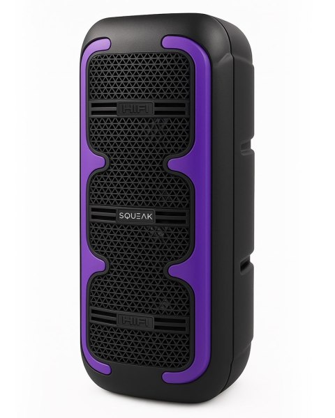 SQUEAK SQUEAK GŁOŚNIK KARAOKE BEATONE BLUETOOTH 5.3, 45W RADIO FM, MICROSD, AUX, USB, USB-C SQ1009