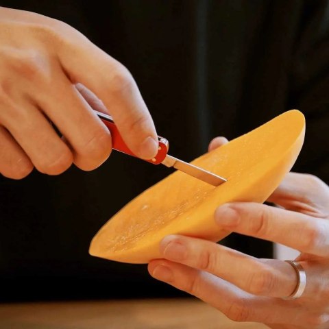 NEXTOOL Nóż wielofunkcyjny NexTool Mini Pocket Knife NE0142 4w1 czerwony