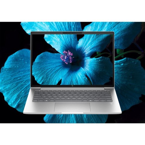 Hewlett-Packard HP ProBook 4 G1i Ultra 5 225U 14.0"WUXGA IPS 300nits AG 24GB DDR5 5600 SSD512 Arc Cam1080p 56Wh W11Pro Pike silver aluminium 3Y 