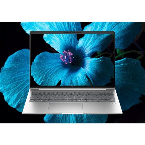 Hewlett-Packard HP ProBook 4 G1i Ultra 7 255H 16.0"WUXGA IPS 300nits AG 24GB DDR5 5600 SSD512 Arc Cam1080p 56Wh W11Pro Pike silver aluminium 3Y 