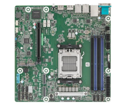 Asrock Płyta główna ASRock EPYC4000D4U AM5 AMD