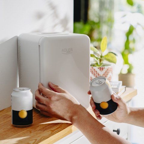 Adler Mini lodówka ADLER AD 8084g szara