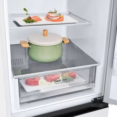 LG Lodówka LG GBV21L0ESW