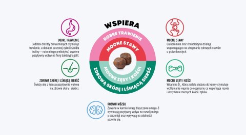 JOHN DOG JOHN DOG Good Form Puppy Cielęcina z jagnięciną - sucha karma dla psa - 12 kg