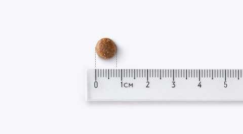 JOHN DOG John Dog GOOD Adult kurczak z wołowiną12 kg