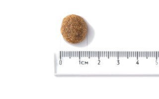 JOHN DOG John Dog GOOD Adult wieprzowina z wołowiną12kg