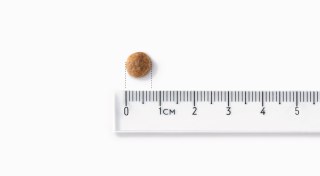 JOHN DOG John Dog GOOD Small wieprzowina z wołowiną12kg