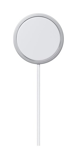 Apple Apple MagSafe 2m MX6Y3ZM/A